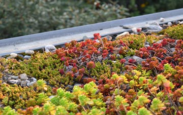 the cost of Chaddlewood green roof installation