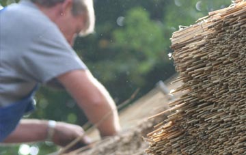 professional Chaddlewood thatchers